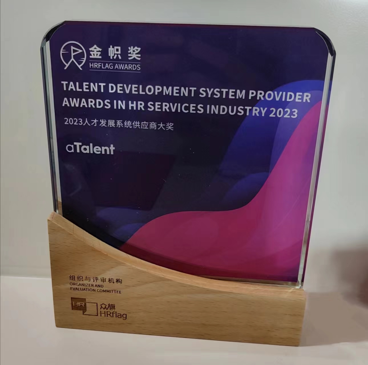 News | aTalent has won the HRflag “Best Talent Development System Provider Award”插图3
