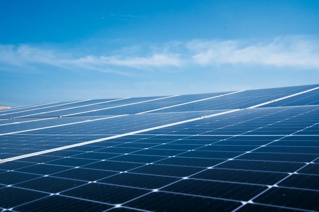 GoLIVE | Trina Solar Goes Live with Global 360-Degree Feedback in Just 15 Days, Engaging 3,000 Employees插图