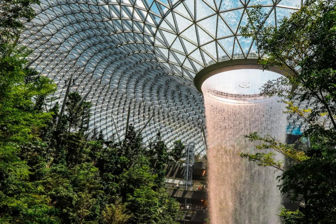 Go Live in Just 8 Weeks! Singapore’s Surbana Jurong Group Empowers Talent Across 40+ Countries with a New AI-Powered Learning Management System缩略图